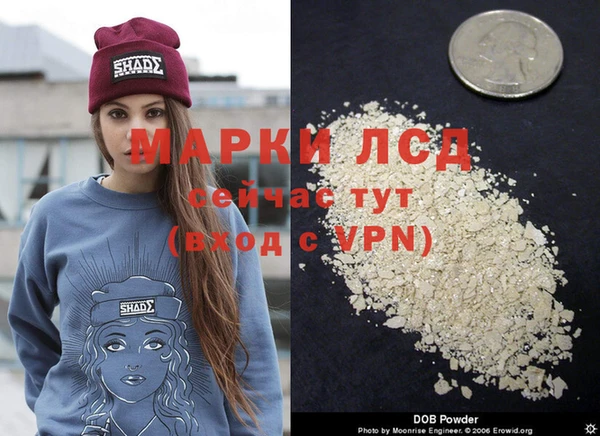 трава Новозыбков