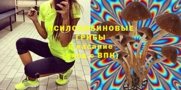 прущие крисы Няндома