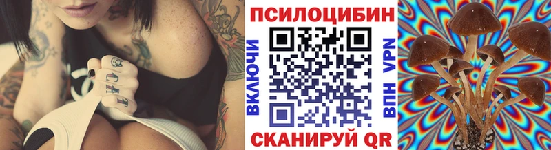 Псилоцибиновые грибы Psilocybine cubensis  Калач 